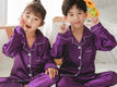 Purple / 8 Fit 100-110cm